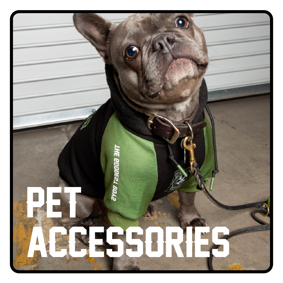 Accessories Lifestyle Dixxon Flannel Australia accessories-lifestyle-dixxon-flannel-australia