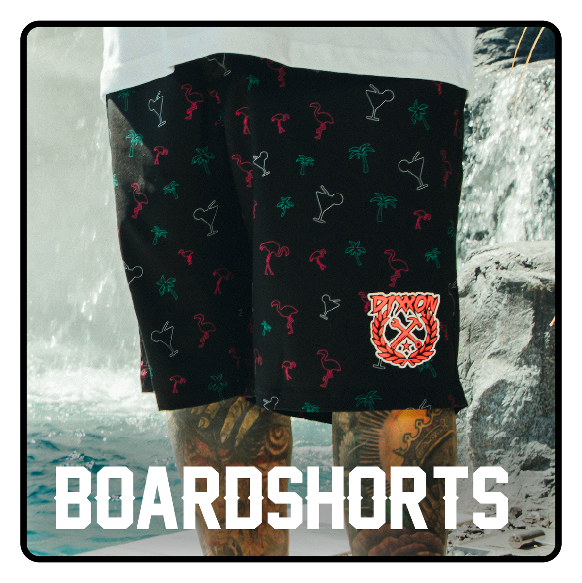 Men's Boardshorts
